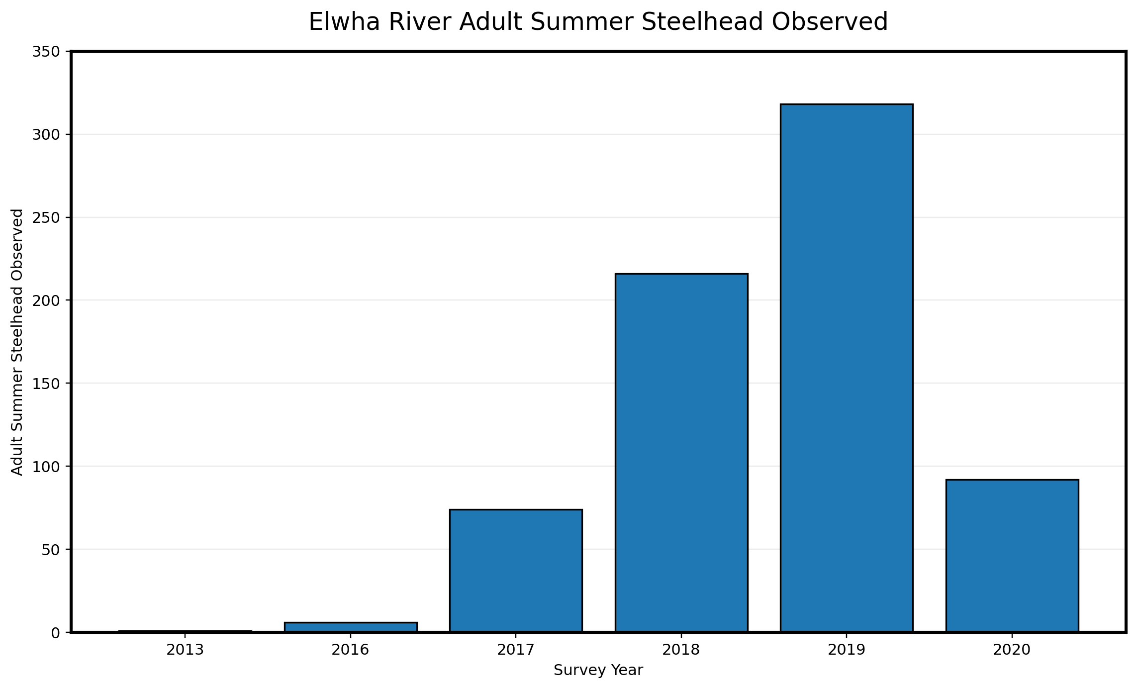 Summer steelhead